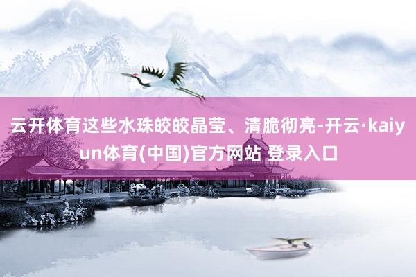 云开体育这些水珠皎皎晶莹、清脆彻亮-开云·kaiyun体育(中国)官方网站 登录入口